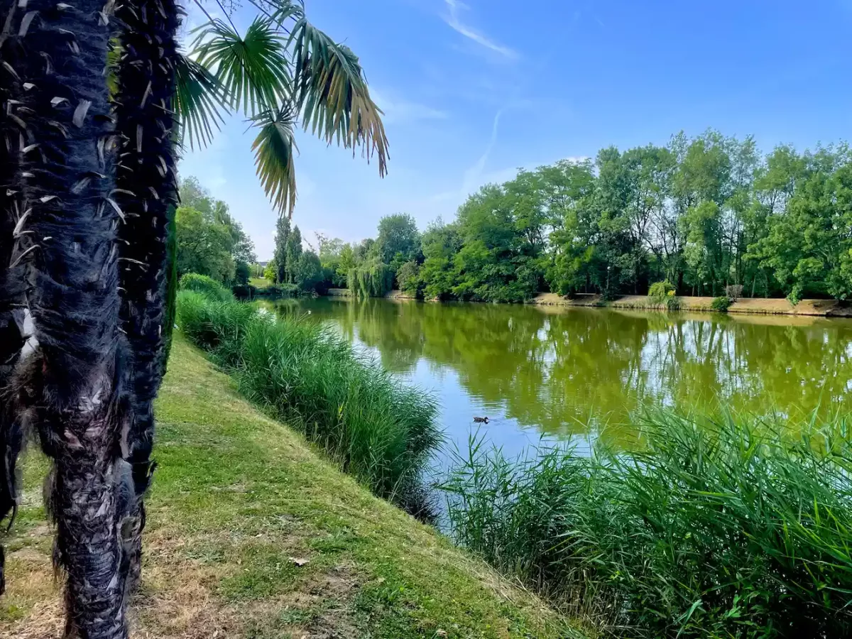 Promenade ombragée au bord du lac du parc des Thermes de Jonzac avec palmiers et végétation verdoyante