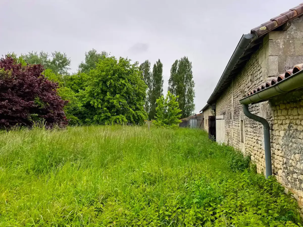 Terrain et parc en friche à l'arrière des bâtiments en pierre de Saintonge avant aménagement paysager au Domaine des Ânes.